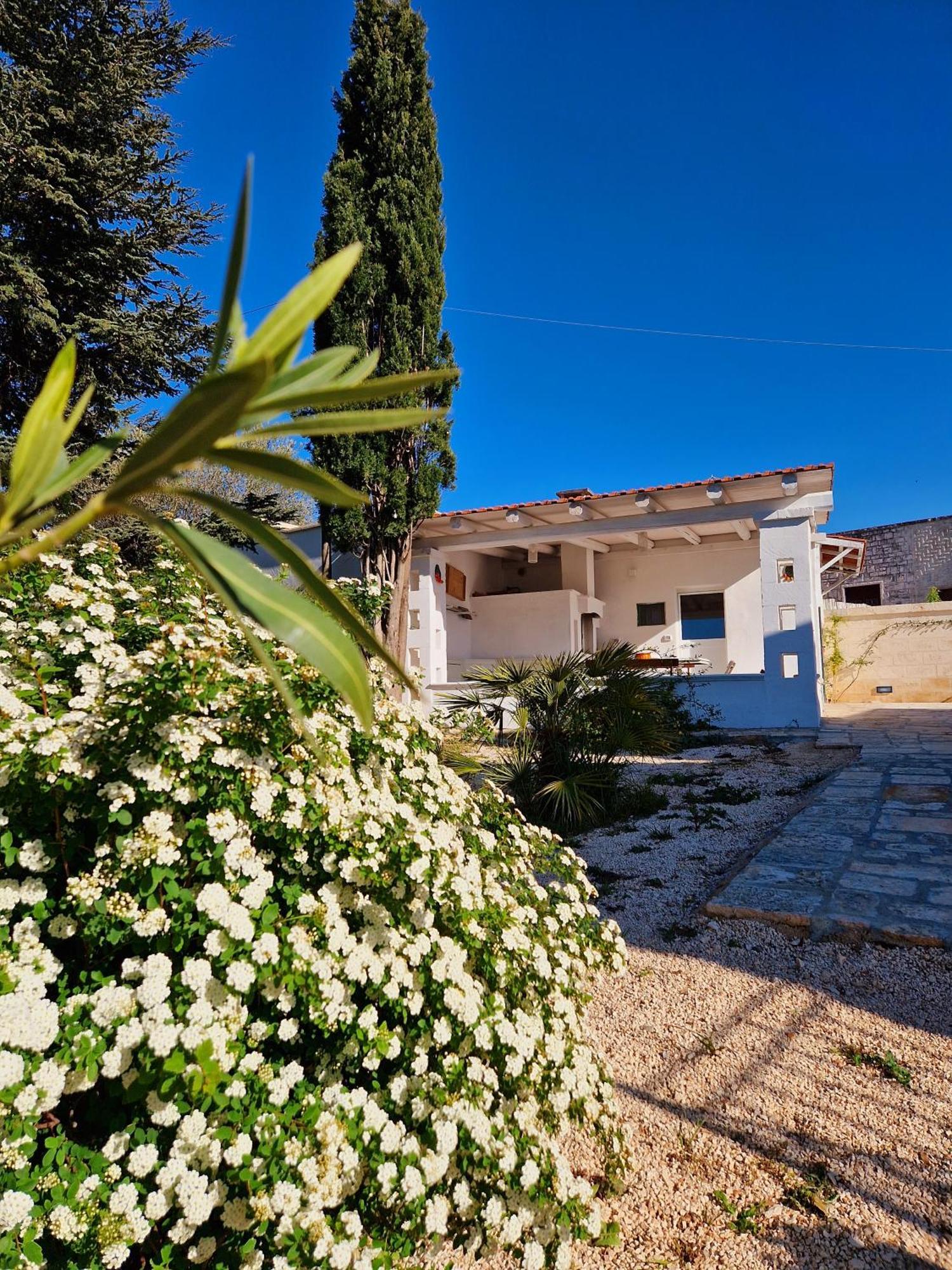 Villa Anna Holiday House Selva Di Fasano Exterior photo